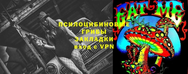 меф Невельск