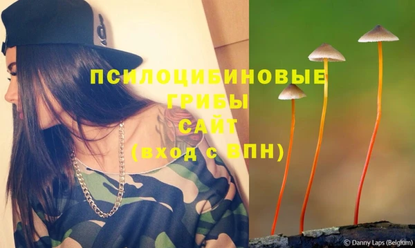 прущие крисы Алексин