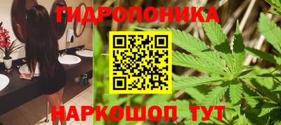 спиды Бийск