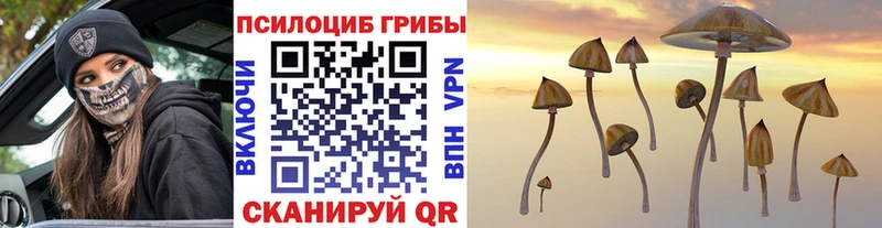 Псилоцибиновые грибы MAGIC MUSHROOMS  Железноводск 