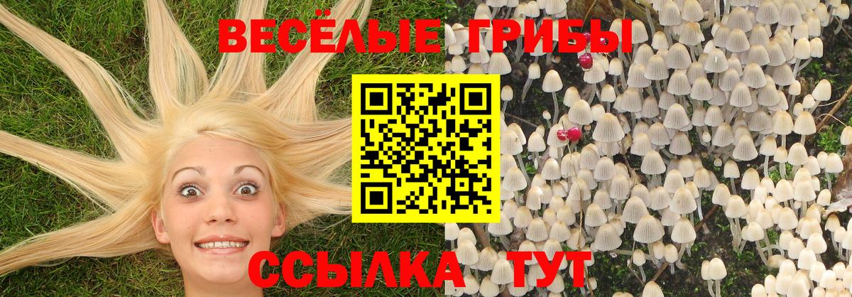 Галлюциногенные грибы Cubensis  Псилоцибиновые грибы MAGIC MUSHROOMS  Железноводск 