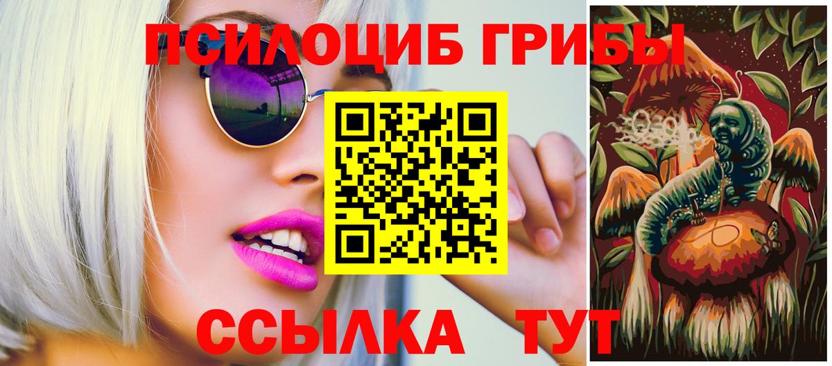 Псилоцибиновые грибы мицелий Железноводск