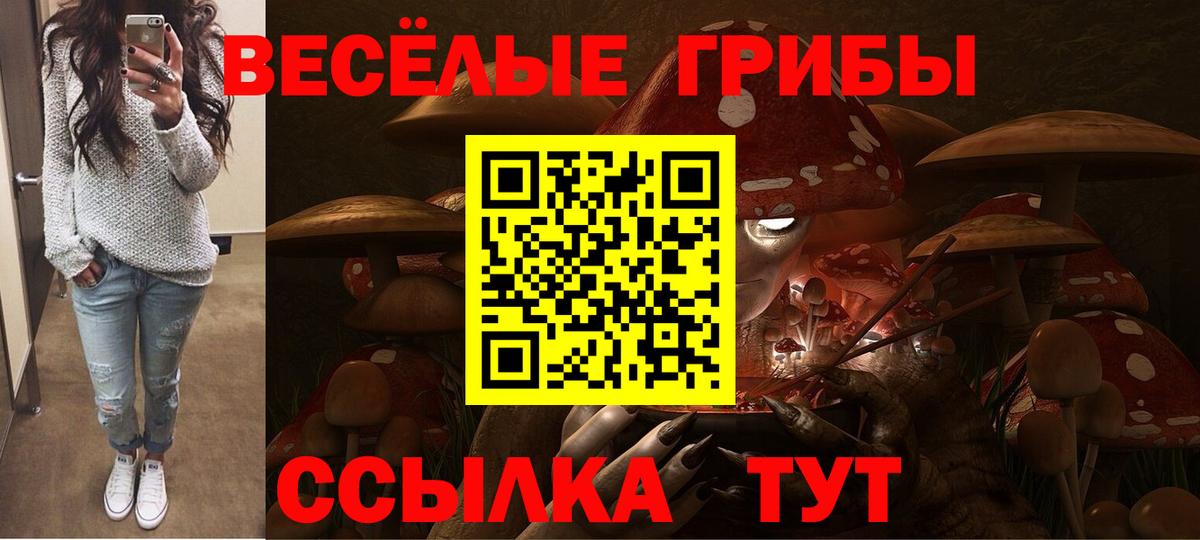 Псилоцибиновые грибы Magic Shrooms Железноводск